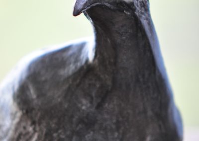 oiseau-bronze-douceur-telque-sculpteur-bronze-59000-Lille-France-art-émotion-noir-patine-sculpture-animalière-plasticien-chris-telque-Mildred-faisan