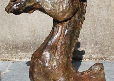 chameau-dromadaire-sculpture-bronze-telque-sculpteur-animalier-france-lille-chris-emotions-telque.fr